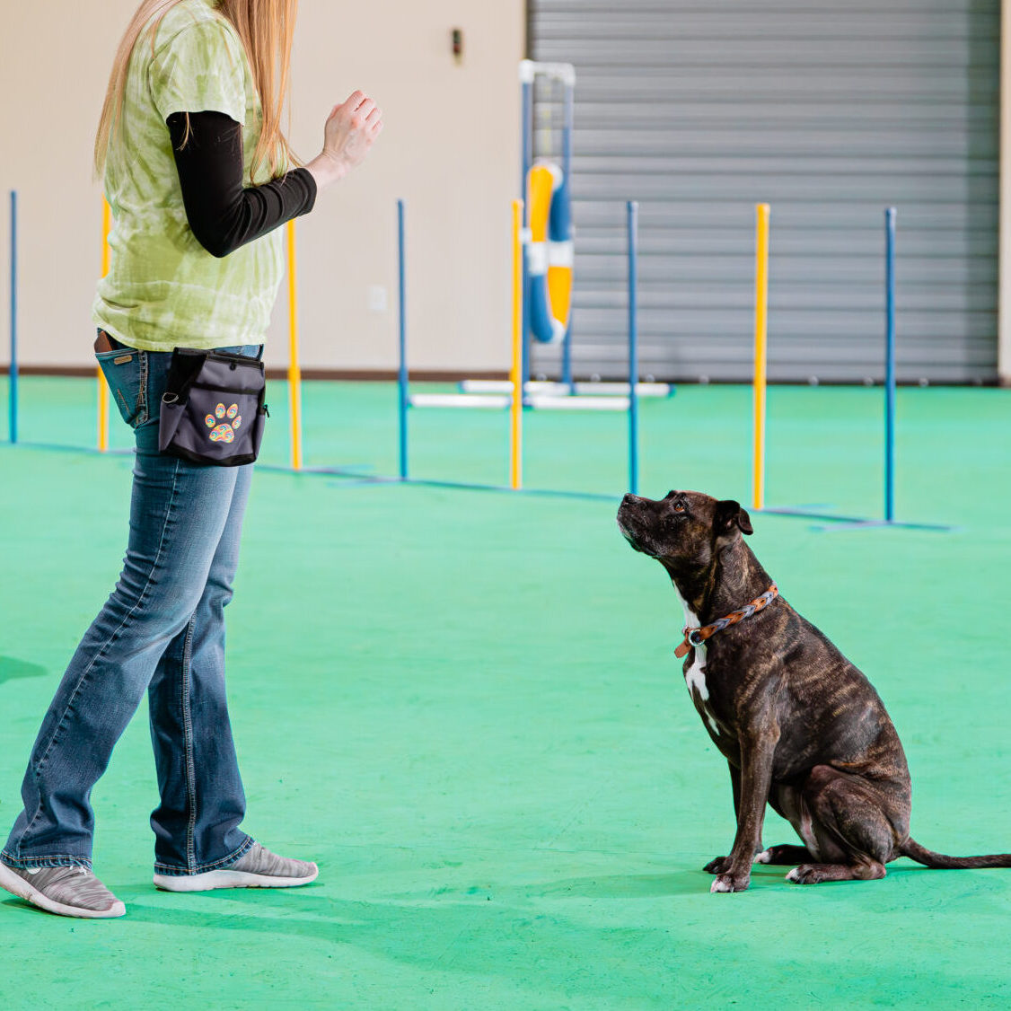 DSC06320-Enhanced-NR